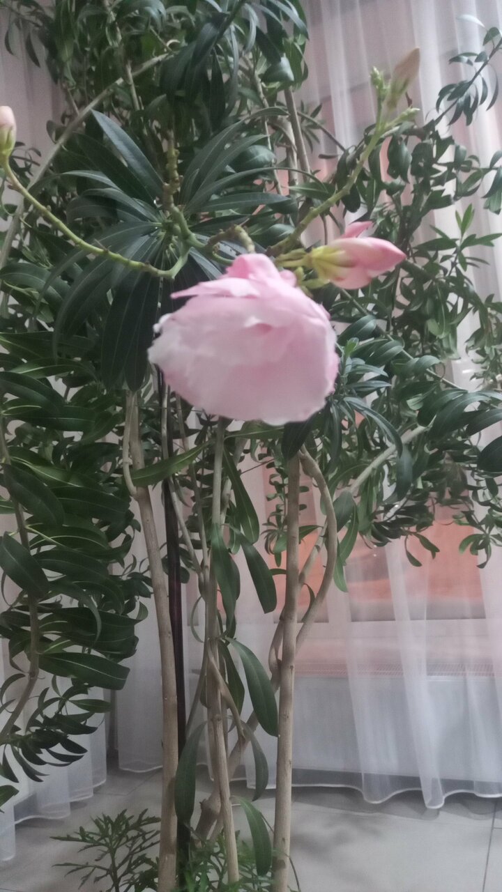 Гостиница Первоуральск Первоуральск-122